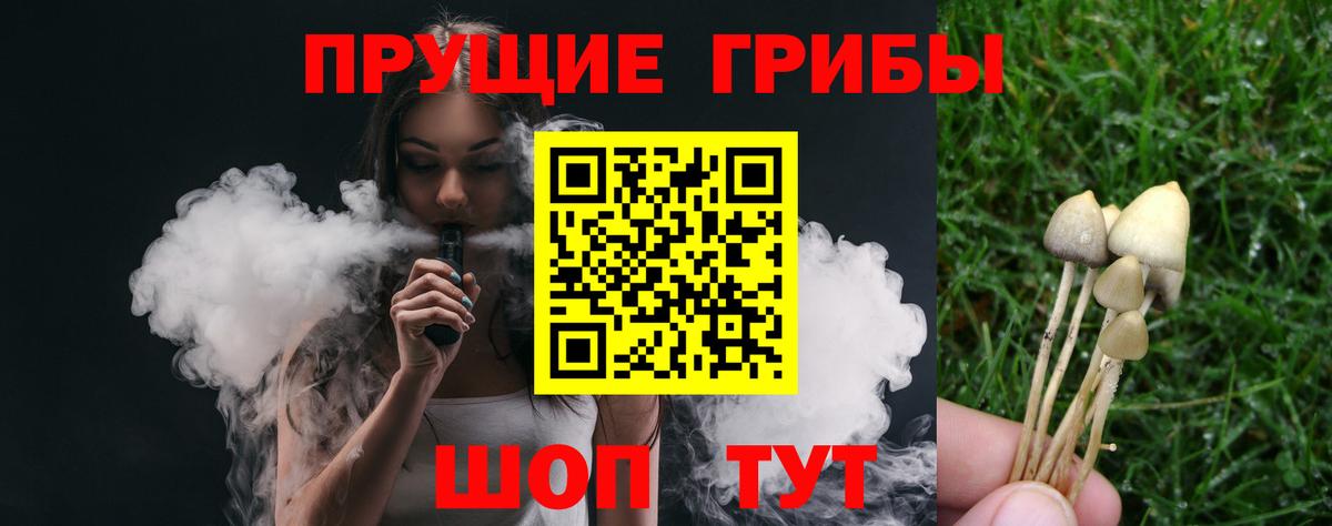 Сокол  Галлюциногенные грибы Psilocybine cubensis  Вход с VPN 