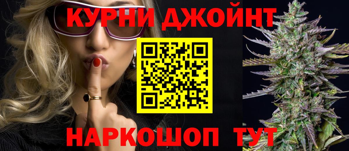 Канабис планчик Сокол